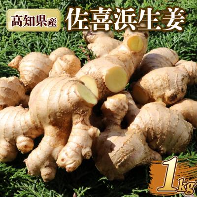 ふるさと納税 室戸市 国産 佐喜浜生姜 約1kg