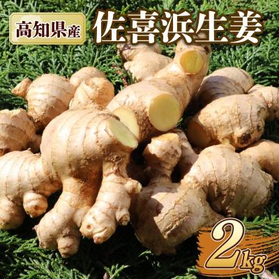 ふるさと納税 室戸市 国産 佐喜浜生姜 約2kg 生姜