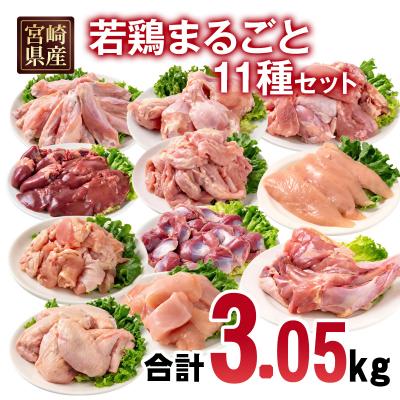 ふるさと納税 西都市 宮崎県産若鶏11種11パック合計3kgセット 鶏肉小分け[2976]