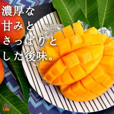 ふるさと納税 徳之島町 世界自然遺産の島 徳之島 ありがとう(おぼらだれん)定期便( 牛肉 マンゴー パッション 野菜 )