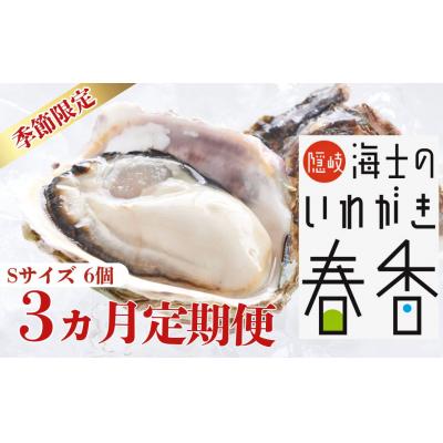 ふるさと納税 海士町 先行予約: 定期便3回[2026年 3月以降順次お届け][生のいわがき Sサイズ6個 3か月定期便]