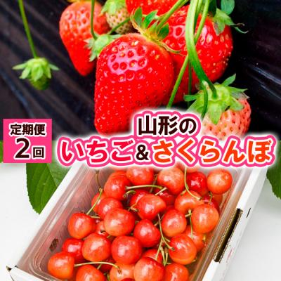 ふるさと納税 山形市 [定期便2回]山形の いちご&amp;さくらんぼ [令和8年産先行予約]FS24-521
