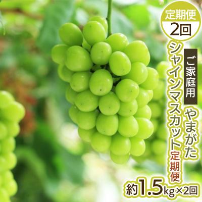 ふるさと納税 山形市 [定期便2回]ご家庭用 やまがた シャインマスカット 優品[令和8年産先行予約]FS25-699