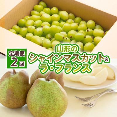 ふるさと納税 山形市 [定期便2回]山形のシャインマスカット&amp;ラ・フランス [令和8年産先行予約]FU23-798
