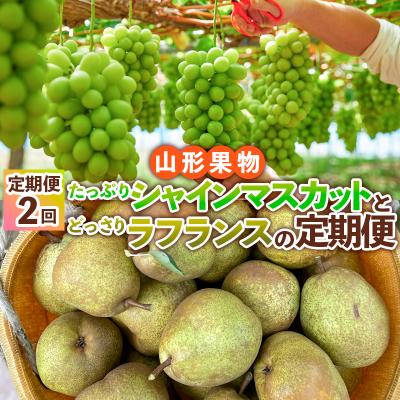 ふるさと納税 山形市 [定期便2回]たっぷりシャインマスカットとどっさりラフランス[令和8年産先行予約]FS24-767