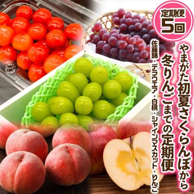 ふるさと納税 山形市 [定期便5回]やまがた "初夏さくらんぼから冬りんご"までの定期便[令和8年産]FS24-531