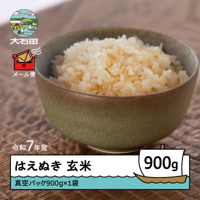 ふるさと納税 大石田町 米 令和7年産 はえぬき 玄米 900g メール便 順次発送