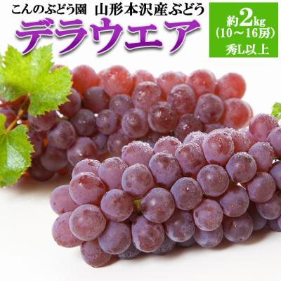 ふるさと納税 山形市 [こんのぶどう園]山形本沢産 デラウェア 秀L以上 約2kg[令和8年産先行予約]FS25-719
