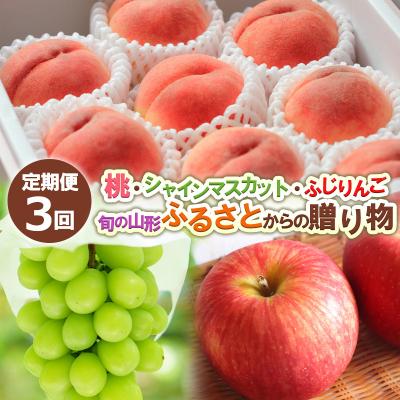 ふるさと納税 山形市 [定期便3回] 旬の山形 ふるさとからの贈り物 [令和8年産先行予約]FS24-716