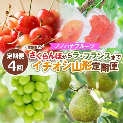 ふるさと納税 山形市 [定期便4回] さくらんぼからラ・フランスまでイチオシ定期便[令和8年産]FS25-592