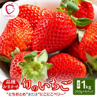 ふるさと納税 角田市 OneBerry いちご農園品種おまかせ 旬のいちご 250g× 4P 2026年1月5日以降順次