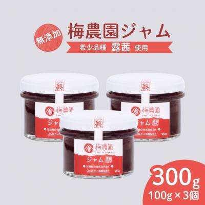 ふるさと納税 南相馬市 梅農園ジャム 300g (100g×3) 梅ジャム 国産 無添加 露茜 相馬アグリ cm001-aa