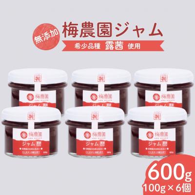 ふるさと納税 南相馬市 梅農園ジャム 600g(100g×6) 梅ジャム 国産 無添加 露茜 相馬アグリ cm001-ab