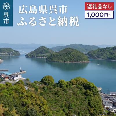 ふるさと納税 呉市 [返礼品なしの寄附]広島県呉市への寄附 返礼品無[1,000円〜] ku000-002-r