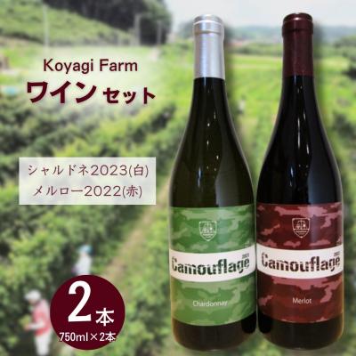ふるさと納税 南相馬市 ワイン 2本セット メルロー 2022 (赤) + シャルドネ 2023 (白) | コヤギファーム
