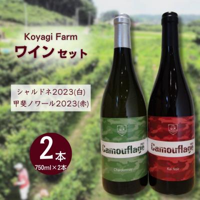 ふるさと納税 南相馬市 ワイン 2本セット 甲斐ノワール2023 (赤) シャルドネ2023 (白) | コヤギファーム