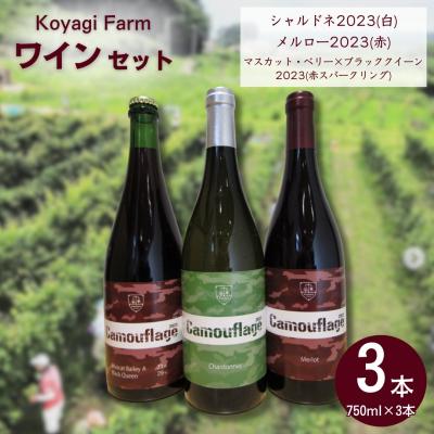 ふるさと納税 南相馬市 ワイン 3本セット シャルドネ メルロー マスカットベリー×ブラッククイーン | コヤギファーム