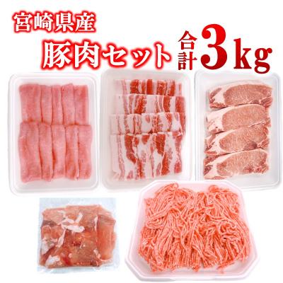 ふるさと納税 西都市 宮崎県産豚肉5種11パック合計3kgセット ローススライス/豚バラ/切り落とし小分け[2990]