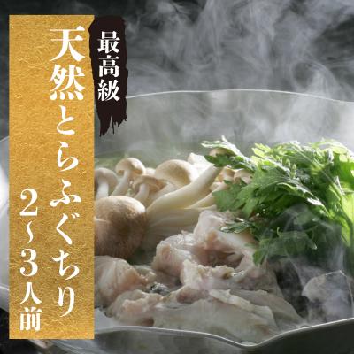 ふるさと納税 下関市 [期間限定]とらふぐ ちり セット 天然 冷蔵 2~3人前 ふぐ鍋