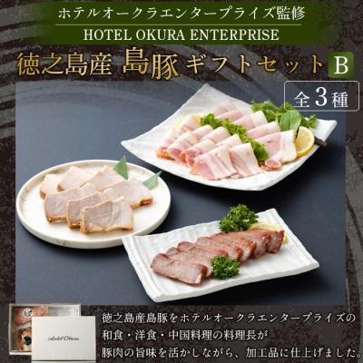 ふるさと納税 天城町 ホテルオークラエンタープライズ監修 徳之島産 島豚 ギフトセット B 3種