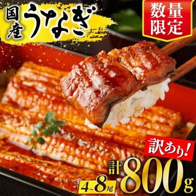 ふるさと納税 大崎町 [訳あり] 有頭 鹿児島県産長蒲焼 規格外品(4尾〜8尾) 800g