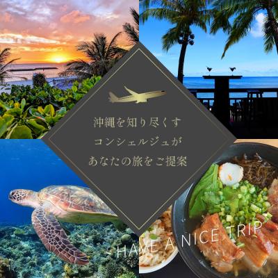 ふるさと納税 恩納村 【沖縄ツアー】沖縄西海岸リゾート恩納村 後から選べる旅行クーポン30万分 |  | 02