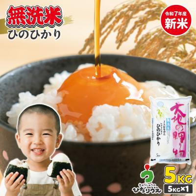 ふるさと納税 宗像市 [令和7年産]わがまち育ち 無洗米 ひのひかり 5kg