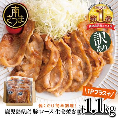 ふるさと納税 南さつま市 [訳あり] 鹿児島県産豚ロース 生姜焼き 100g×11P(計1.1kg)