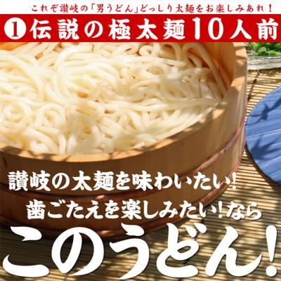 ふるさと納税 多度津町 味源 うどんバカ店長 本場讃岐の本生うどん食べ比べセット20人前 純生タイプ[L-73]