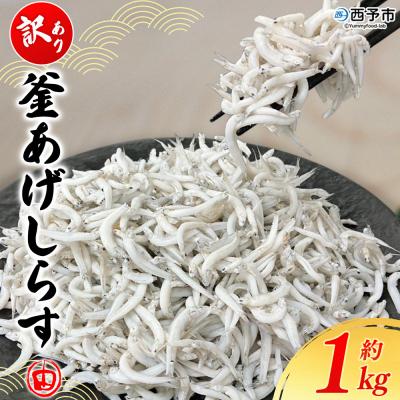 ふるさと納税 西予市 <訳あり 釜あげしらす 約1kg> 老舗網元 釜揚げ しらす シラス 海鮮 ちりめん 減塩