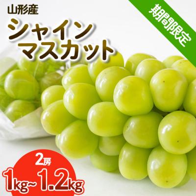 ふるさと納税 山形市 [期間限定]希少!冬のシャインマスカット秀品1kg〜1.2kg[令和8年産先行予約]FS25-685
