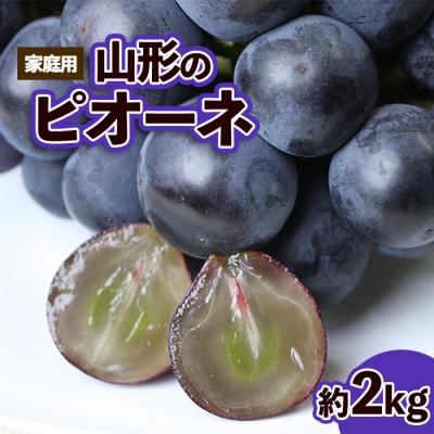 ふるさと納税 山形市 [ご家庭用]山形のピオーネ 優品 約2kg[10月発送] [令和8年産先行予約]FS23-646