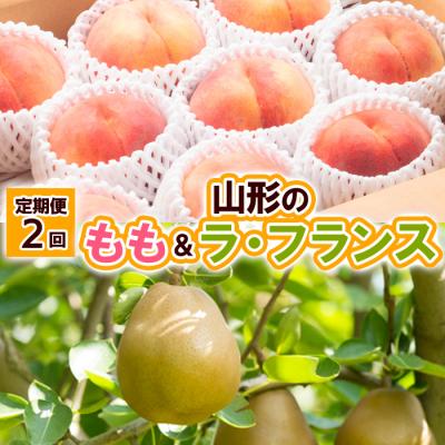ふるさと納税 山形市 [定期便2回]山形の もも&amp;ラ・フランス [令和8年産先行予約]FU23-797