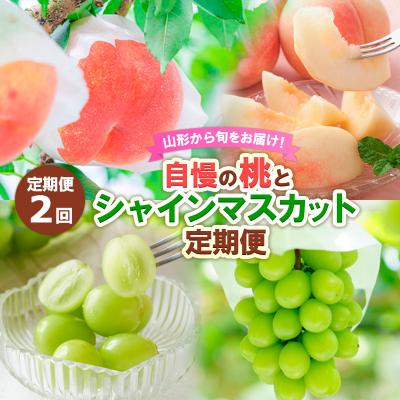 ふるさと納税 山形市 [定期便2回]山形から旬をお届け!自慢の桃とシャインマスカット[令和8年産先行予約]FS24-501