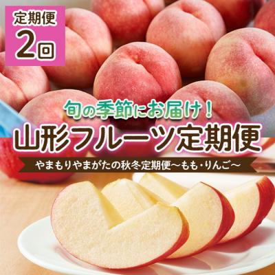 ふるさと納税 山形市 [定期便2回]やまもり山形の秋冬定期便〜もも・りんご〜 [令和8年産先行予約]FU22-902