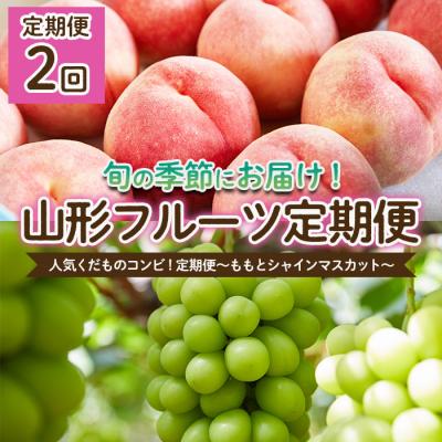 ふるさと納税 山形市 [定期便2回]人気くだものコンビ!〜ももとシャインマスカット〜[令和8年産先行予約]FS25-601