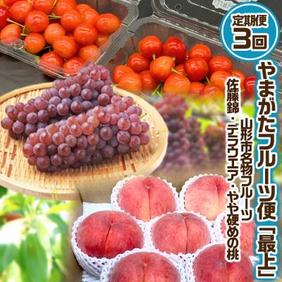 ふるさと納税 山形市 [定期便3回]やまがた フルーツ定期便 "最上" 名物フルーツ[令和8年先行予約]FS25-630