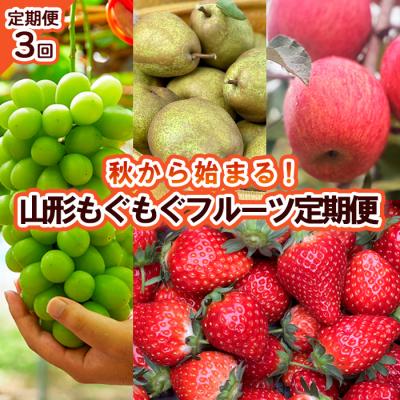 ふるさと納税 山形市 [定期便3回]秋から始まる!山形もぐもぐフルーツ便 [令和8年産先行予約]FU23-926