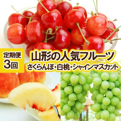 ふるさと納税 山形市 [定期便3回]山形の人気フルーツ[令和8年先行予約]FU23-310