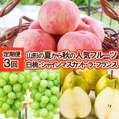 ふるさと納税 山形市 [定期便3回]山形の夏から秋の人気フルーツ [令和8年産先行予約]FS25-687