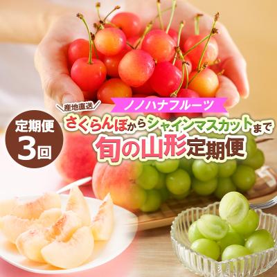 ふるさと納税 山形市 [定期便3回]さくらんぼからシャインマスカットまで旬の山形定期便[令和8年産]FS24-718