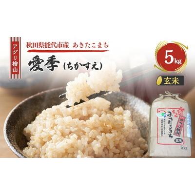 ふるさと納税 能代市 令和7年産 アグリ檜山米 愛季 玄米 5kg あきたこまち