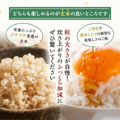 ふるさと納税 能代市 令和7年産 アグリ檜山米 愛季 玄米 30kg  あきたこまち[No.5335-1664]の画像