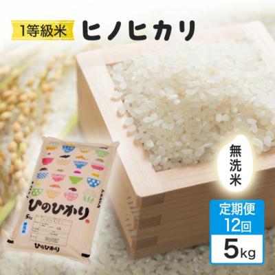 ふるさと納税 小郡市 定期便12回 1等級米 ヒノヒカリ 無洗米 5kg[No5354-2369]