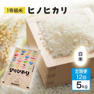 ふるさと納税 小郡市 定期便12回 1等級米 ヒノヒカリ 白米5kg[No5354-2371]