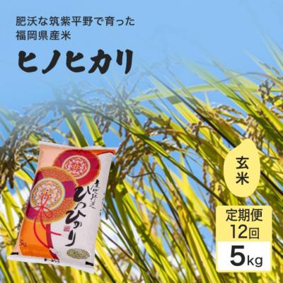 ふるさと納税 小郡市 定期便12回 1等級米 ヒノヒカリ 玄米5kg[No5354-2373]