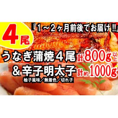 ふるさと納税 新宮町 うなぎの蒲焼4尾&amp;無着色辛子明太子1キロ[ご飯のお供!最強セット]