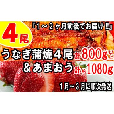 ふるさと納税 新宮町 うなぎの蒲焼4尾&amp;いちごの王様あまおう1080g[新宮町ミラクルセット]
