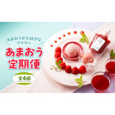 ふるさと納税 新宮町 [あまおうが大好きなアナタへ]あまおう定期便(全4回)[あまおう]