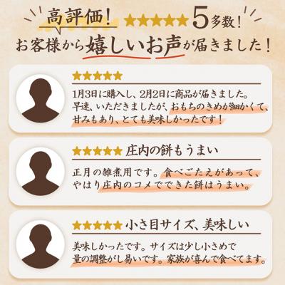 ふるさと納税 庄内町 【3月発送】梅木もち屋 庄内産『でわのもち』を使用した杵つき餅 380g×5袋 個包装 丸もち_3